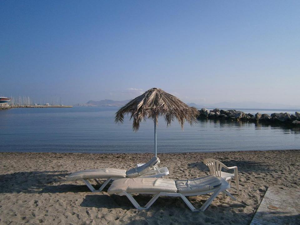 Theodorou Beach Hotel Apartments プサリビ エクステリア 写真