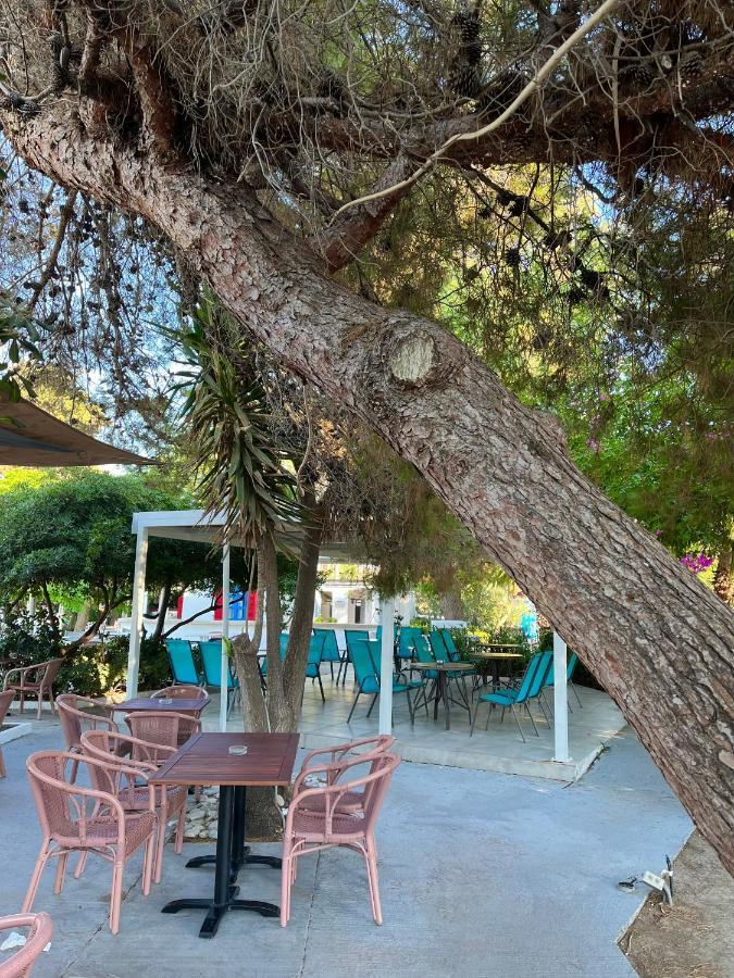 Theodorou Beach Hotel Apartments プサリビ エクステリア 写真