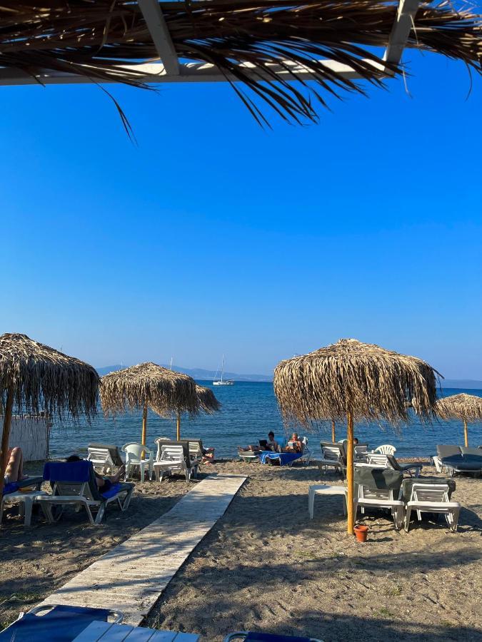 Theodorou Beach Hotel Apartments プサリビ エクステリア 写真