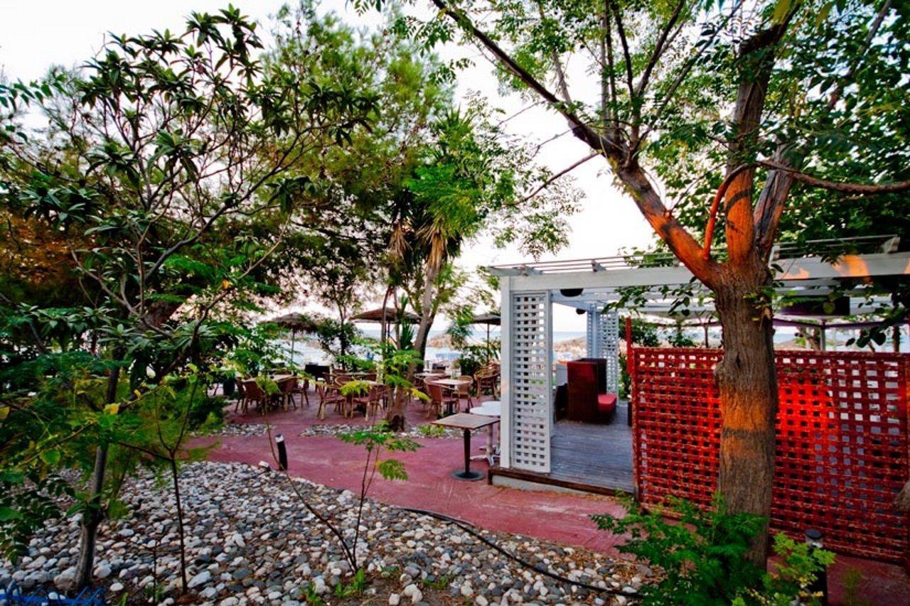 Theodorou Beach Hotel Apartments プサリビ エクステリア 写真